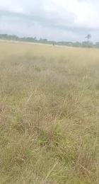 Commercial Land For Sale Ituoru Ode Omi Free Trade Zone Ibeju-Lekki Lagos