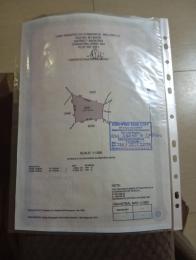 Land For Sale Asokoro Abuja Phase 1 