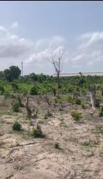 Residential Land For Sale Macaulay Igbogbo Ikorodu Lagos Residential Land For Sale Macaulay Igbogbo Ikorodu Lagos