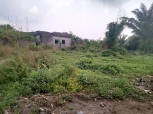 Mixed use Land For Sale Jehovah Witness Road, Bogije, Sharing Fence With Kingdom Hall Alatise Ibeju-Lekki Lagos