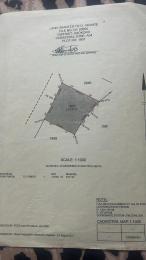 Commercial Land For Sale Asokoro Abuja Phase 1  Commercial Land For Sale Asokoro Abuja Phase 1