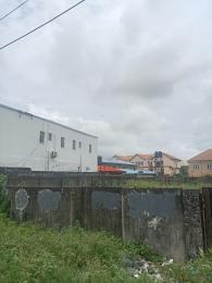Land For Sale Sangotedo Ajah Lagos