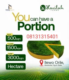 Mixed use Land For Sale Ilewo Orile Abeokuta Ogun