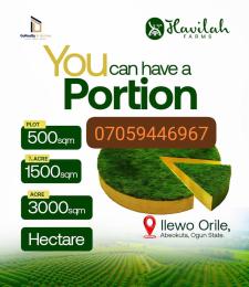 Mixed use Land For Sale Ilewo Orile Abeokuta Ogun