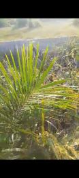 Land For Sale Gra Abijo Ajah Lagos