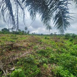Land For Sale Otun Village, Alabata Moniya Ibadan Moniya Ibadan Oyo