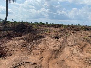 Mixed use Land For Sale Ogbaku Off Owerri Onitsha Rd, Mbaitoli Lga, Imo State Owerri Imo Mixed use Land For Sale Ogbaku Off Owerri Onitsha Rd, Mbaitoli Lga, Imo State Owerri Imo