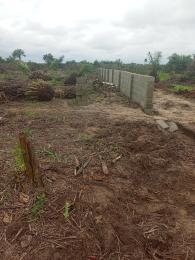 Land For Sale Eleko Ibeju-Lekki Lagos