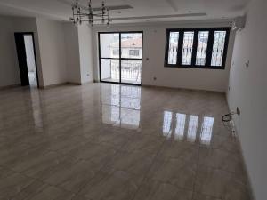 2 bedroom Block Of Flats For Rent Ikoyi Lagos 2 bedroom Block Of Flats For Rent Ikoyi Lagos