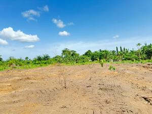 Mixed use Land For Sale Executive Villa Estate With C Of O Selling On Promo Price, Off Monastery Road Sangotedo Lagos Mixed use Land For Sale Executive Villa Estate With C Of O Selling On Promo Price, Off Monastery Road Sangotedo Lagos