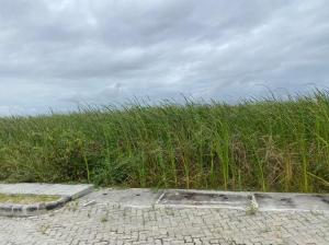 Residential Land For Sale Orange Island Lekki Phase 1 Lagos Residential Land For Sale Orange Island Lekki Phase 1 Lagos