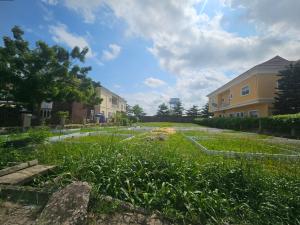 Residential Land For Sale Northern Foreshore Estate Chevron Drive Lekki Lagos Residential Land For Sale Northern Foreshore Estate Chevron Drive Lekki Lagos