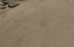 Land For Sale Sawmill, Gbagada Lagos Land For Sale Sawmill, Gbagada Lagos