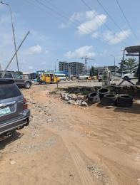 Commercial Property For Sale Iyana Iba Road, Lasu Road Iba Ojo Lagos