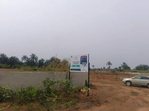 Residential Land For Sale Landview City Estate Ogbor Hill Aba Close To Nta & Christ The King Cathedral Abia 