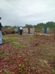 Land For Sale Eleran Igbe Ibeju-Lekki Lagos