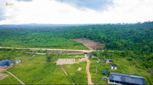 Land For Sale Agborun Village, Iyana Obafemi Bus Stop, Ogun State. Obafemi Owode Ogun Land For Sale Agborun Village, Iyana Obafemi Bus Stop, Ogun State. Obafemi Owode Ogun