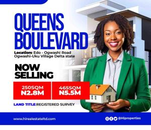 Mixed use Land For Sale Asaba Delta Mixed use Land For Sale Asaba Delta
