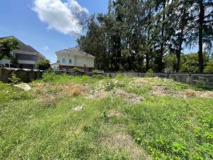 Residential Land For Sale Carlton Gate Chevron Drive Lekki Lagos