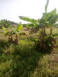 Residential Land For Sale Lekki Epe Express Way, Alaro City, Lekki Free Trade Zone, Dangote Refinery, Lekki Deep Sea Port, Pan Atlantic University La Campaigne Tropicana Ibeju-Lekki Lagos