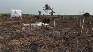 Residential Land For Sale Ikorodu Gardens Estate Located At Imota Ikorodu Lagos