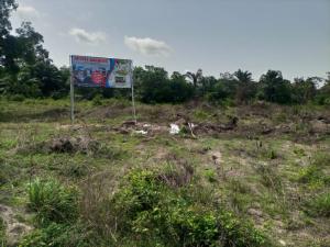 Mixed use Land For Sale Glory Court Eleran Igbe Ibeju-Lekki Lagos Mixed use Land For Sale Glory Court Eleran Igbe Ibeju-Lekki Lagos