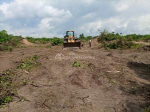 Mixed use Land For Sale Glory Court Eleran Igbe Ibeju-Lekki Lagos Mixed use Land For Sale Glory Court Eleran Igbe Ibeju-Lekki Lagos