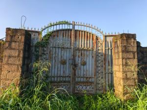 Residential Land For Sale Amakabo Avenue By White House Avu Owerri Imo