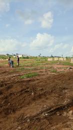 Mixed use Land For Sale Experience Premium Living In Dikedioranma Luxury Home, Okpanam, Asaba Delta