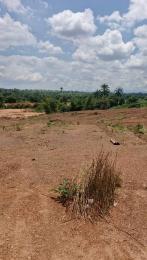 Residential Land For Sale Elim Estate Ibagwa Nike Enugu Area  Residential Land For Sale Elim Estate Ibagwa Nike Enugu Area