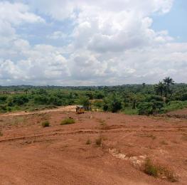 Residential Land For Sale Elim Estate Ibagwa Nike Enugu Area  Residential Land For Sale Elim Estate Ibagwa Nike Enugu Area