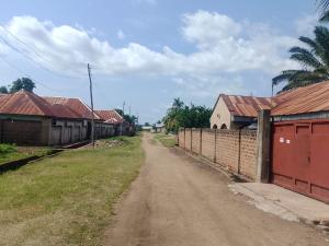 School For Sale Besides Olph Catholic Cathedral Orgem Ukih St Makurdi Benue State Makurdi Benue