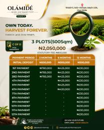 Residential Land For Sale Agro Smart City Located In A 100% Dry Land Iseyin Ibadan Oyo