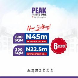 Mixed use Land For Sale Opposite Lagos Business School Peak Prime 1 Estate Sangotedo Ajah Lagos