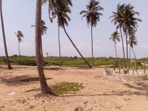 Mixed use Land For Sale An Island In Badagry. Badagry Lagos Mixed use Land For Sale An Island In Badagry. Badagry Lagos