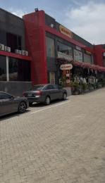 Mall/Complex/Plaza For Rent Wuse II Abuja Phase 1 