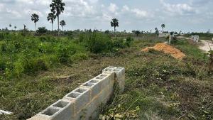 Residential Land For Sale Elegant City Estate Located At Ibefun Village Off Ijebu Ode Ikorodu Road Ijebu Ode Ogun