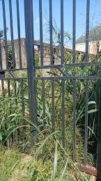 Land For Sale Jankara Ijaye Ojokoro Ifako-Ijaiye Lagos