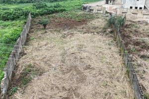 Residential Land For Sale Magodo Shangisha Ikeja Lagos Residential Land For Sale Magodo Shangisha Ikeja Lagos