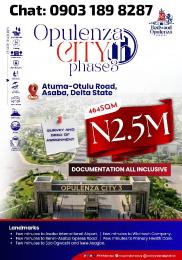 Mixed use Land For Sale Atuma Otulu Road, Asaba Aniocha South Delta