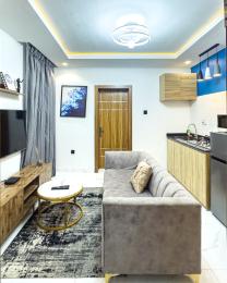 1 bedroom Mini Flat Short let Surulere Lagos 1 bedroom Mini Flat Short let Surulere Lagos