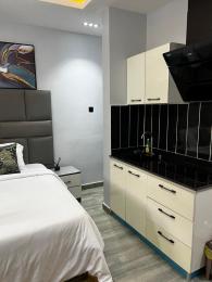 1 bedroom Studio Apartment Short let Opebi Ikeja Lagos