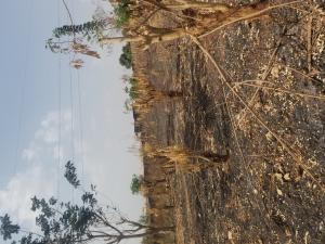 Commercial Land For Sale Abiola Way Facing Major Road. Abeokuta Ogun