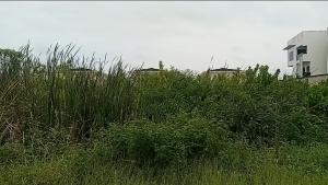 Residential Land For Sale Ikota Lekki Lagos