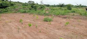 Residential Land For Sale Bright Kiddies Estate Onifufu Village Off Eruwa Road Eleyele Ibadan Oyo