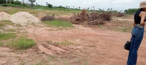 Residential Land For Sale Champions Colony Tomoba Village Via Igboye Road Epe Lagos Extension Ogun