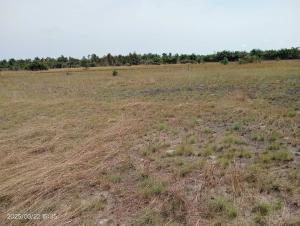 Residential Land For Sale Suncity Estate Phase 2 Ode Omi Close To La Campagne Tropicana Ibeju-Lekki Lagos