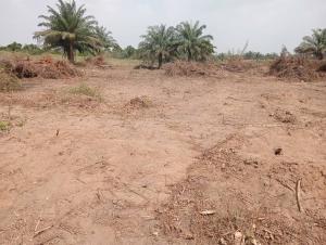 Residential Land For Sale Apex Gardens Estate Ososa Apa Aledo Close To Tai Solarin University Of Education Ijebu Ode Ogun