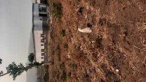 5 bedroom Residential Land For Sale Apo Wumba District Apo Abuja Apo Abuja Phase 2 