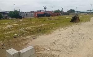 Residential Land For Sale Sangotedo Lekki Lagos